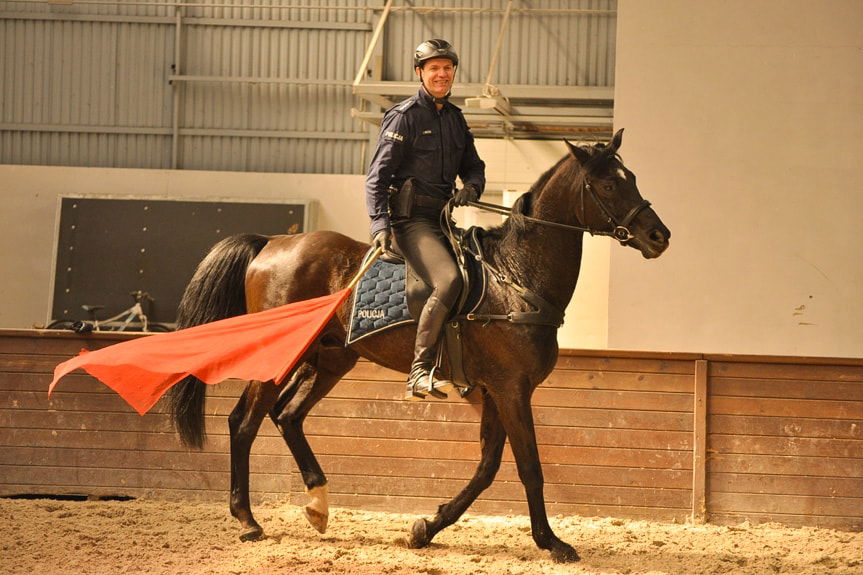 Policyjne wierzchowce z Podkarpacia już po egzaminach