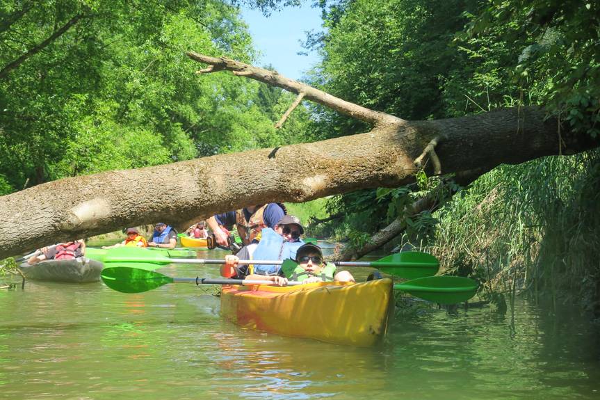 Trzeba było wiosłować, czasem przepchnąć kajak po kamieniach