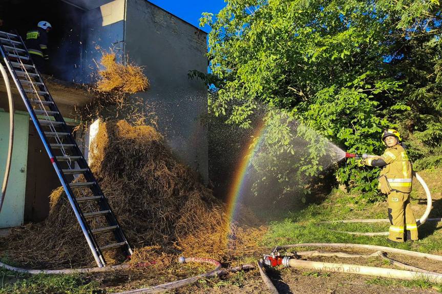 Pożar kurnika. Strażacy uratowali 14 tys. kur