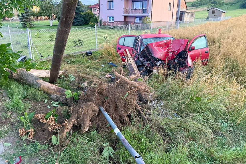 Groźny wypadek o świcie. Samochód roztrzaskał się na drzewie i słupie
