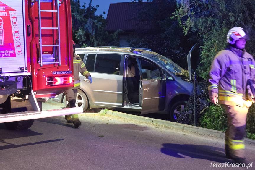 Pustyny. Uderzył w ogrodzenie