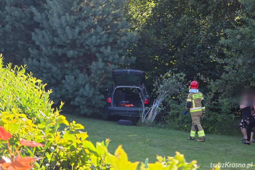 Kierowca audi wjechał na posesję i uderzył w drzewo