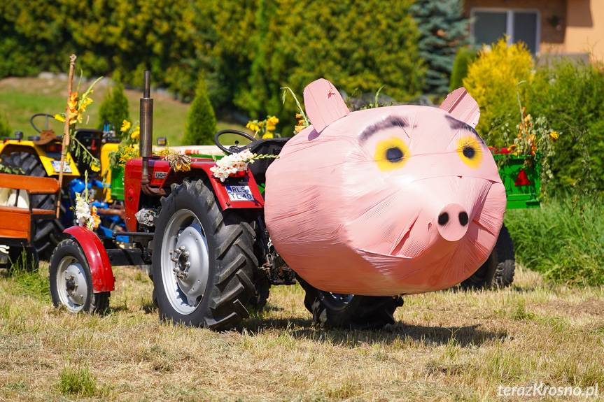 Korowód dożynkowy i pojazdów zabytkowych w Odrzykoniu [ZDJĘCIA]