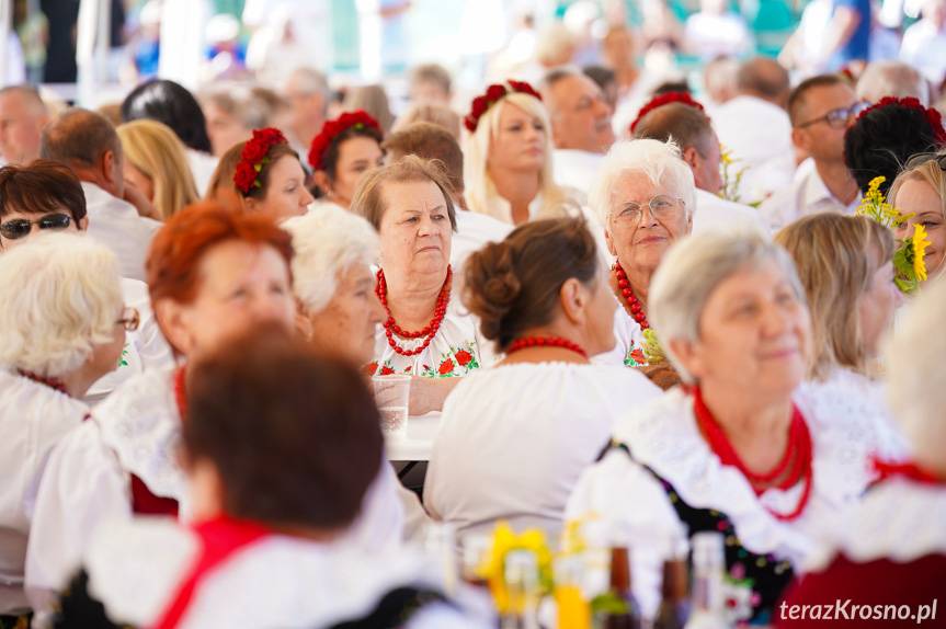 Dożynki Gminy Wojaszówka w Odrzykoniu [ZDJĘCIA]