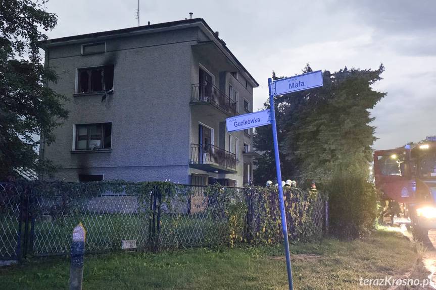 Dwa pożary w odstępie dwóch godzin. Strażacy znów interweniowali