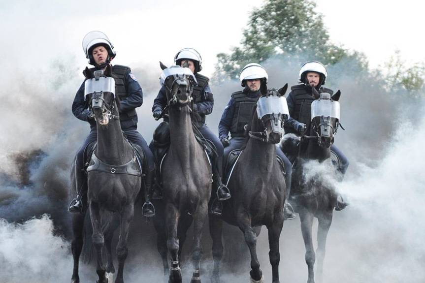 Policyjne wierzchowce zaliczyły egzamin na medal