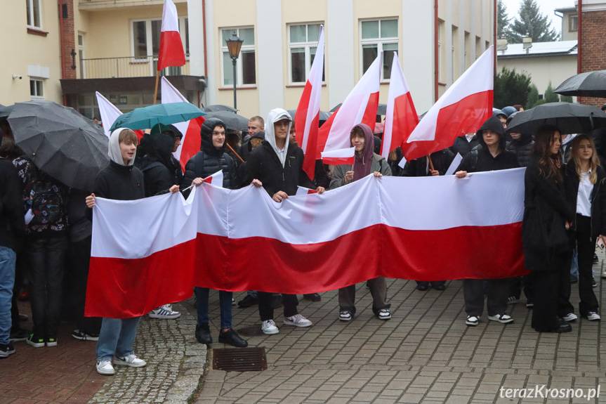 Marsz Tysiąca Flag Narodowych. Wnuczka generała Stanisława Maczka gościła w Krośnie [ZDJĘCIA]