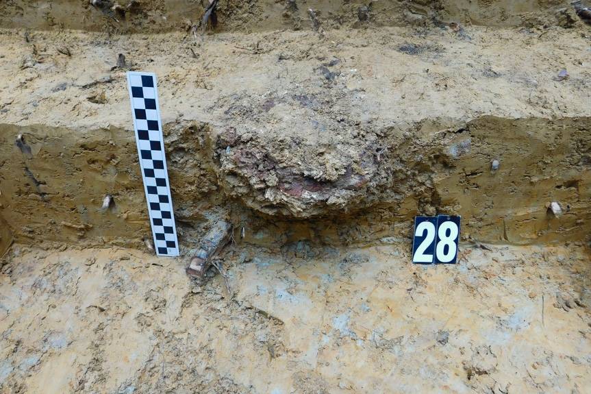 Cmentarzysko sprzed trzech tysięcy lat odkryte w lasach gminy Dukla