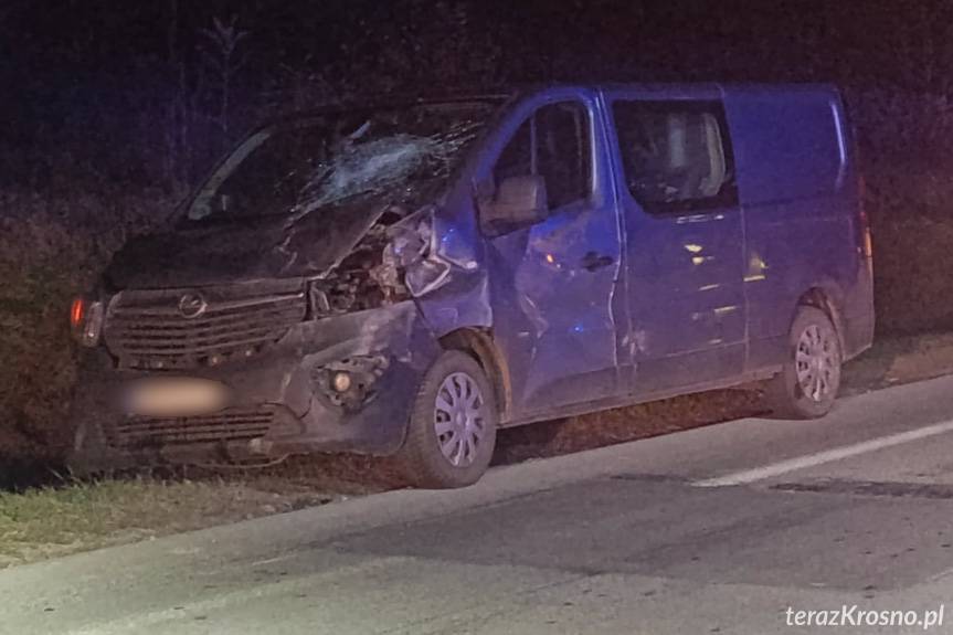 Zderzenie samochodu z jeleniem na DK19