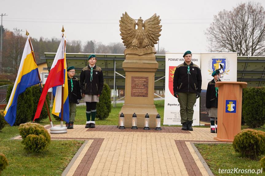 Powiatowo-Gminne Obchody Święta Niepodległości w Krościenku Wyżnym