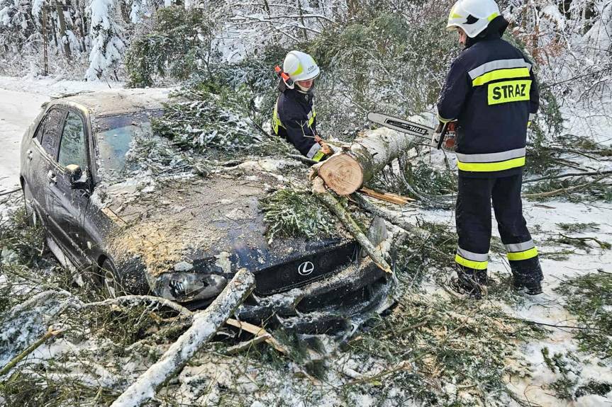 Targowiska. Drzewo runęło na samochód osobowy
