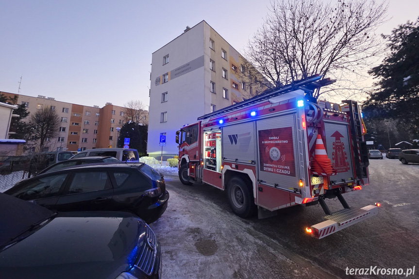 Zadymienie w mieszkaniu. Przyczyną przypalona potrawa