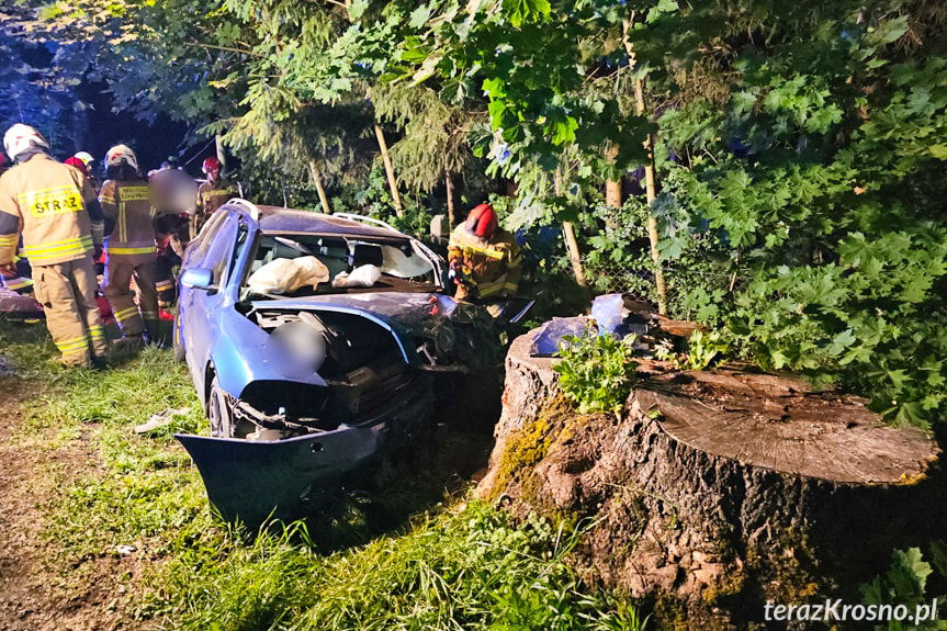 Wypadek w Łękach Strzyżowskich