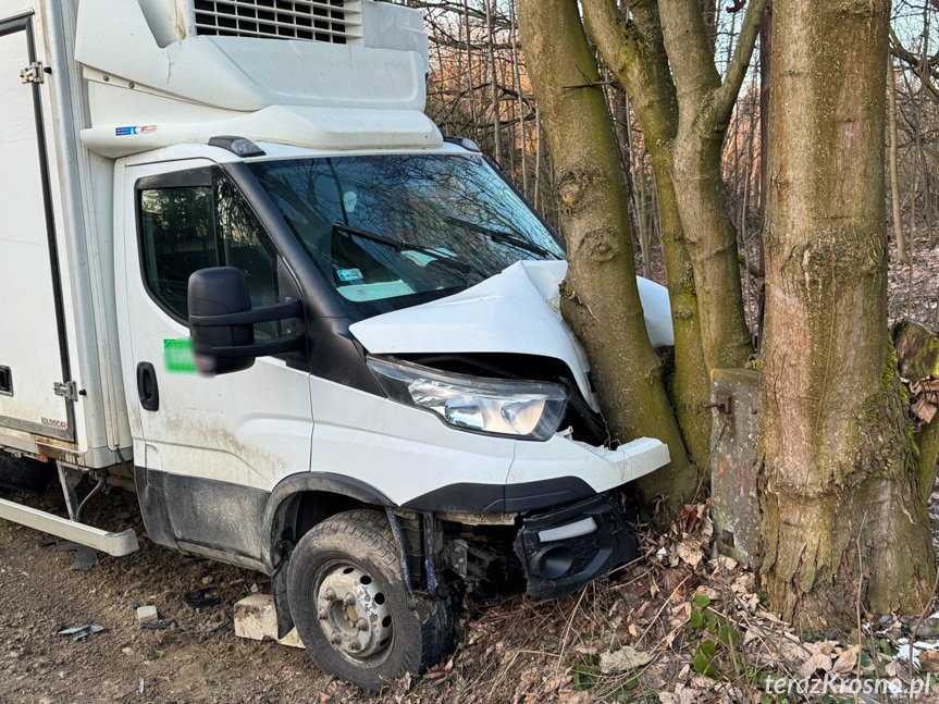 Dostawczym Iveco wjechał w drzewo