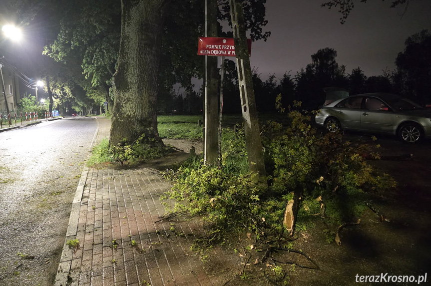 Niebezpieczna sytuacja na drodze. Konar spadł na samochód