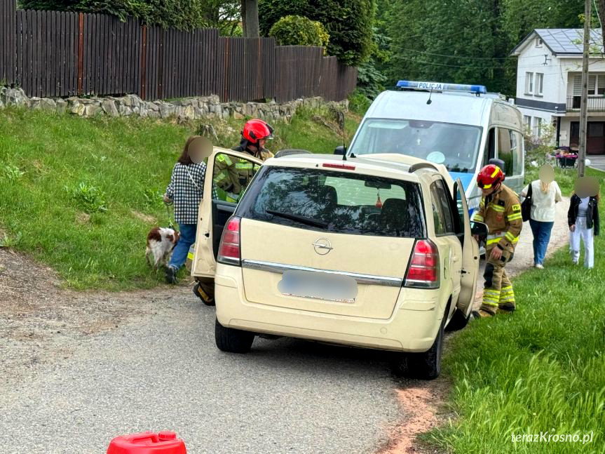 Trzeźwy, ale bez uprawnień. Kierowca Opla zjechał po schodach