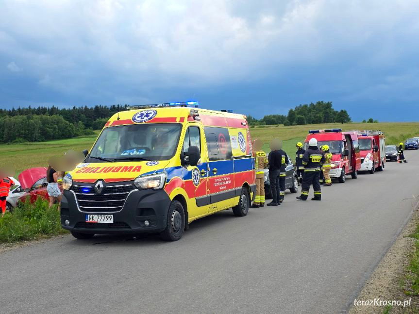 Zderzenie samochodów w Leśniówce