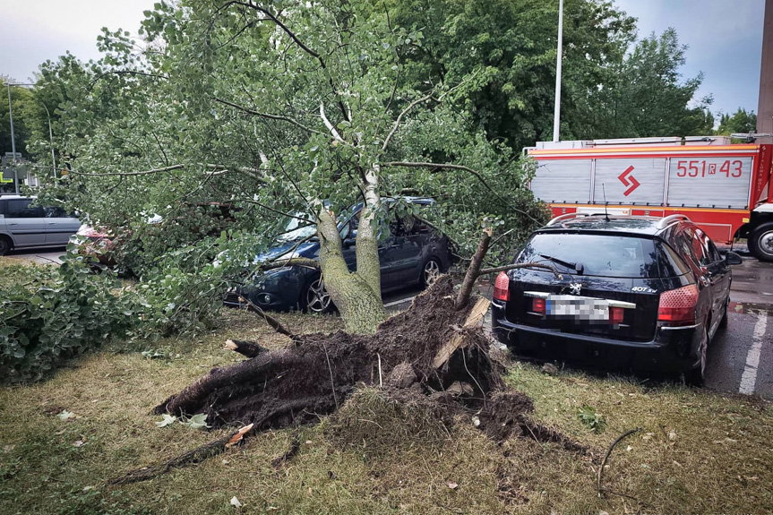 Strażacy usuwali skutki burz
