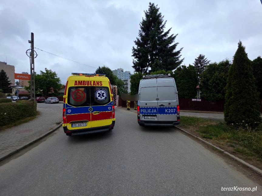 Uderzył w ogrodzenie posesji. Trafił do szpitala