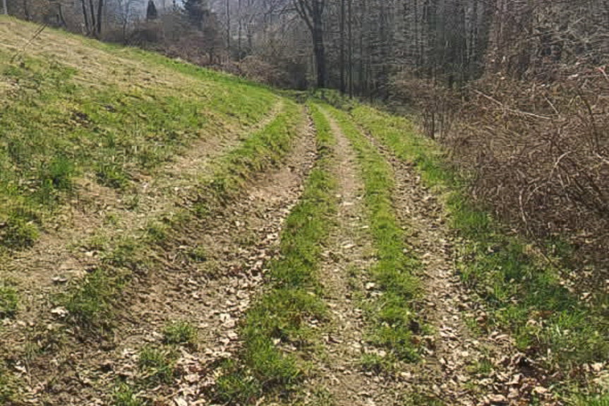 Samorząd pozyskał środki na modernizację dróg rolniczych