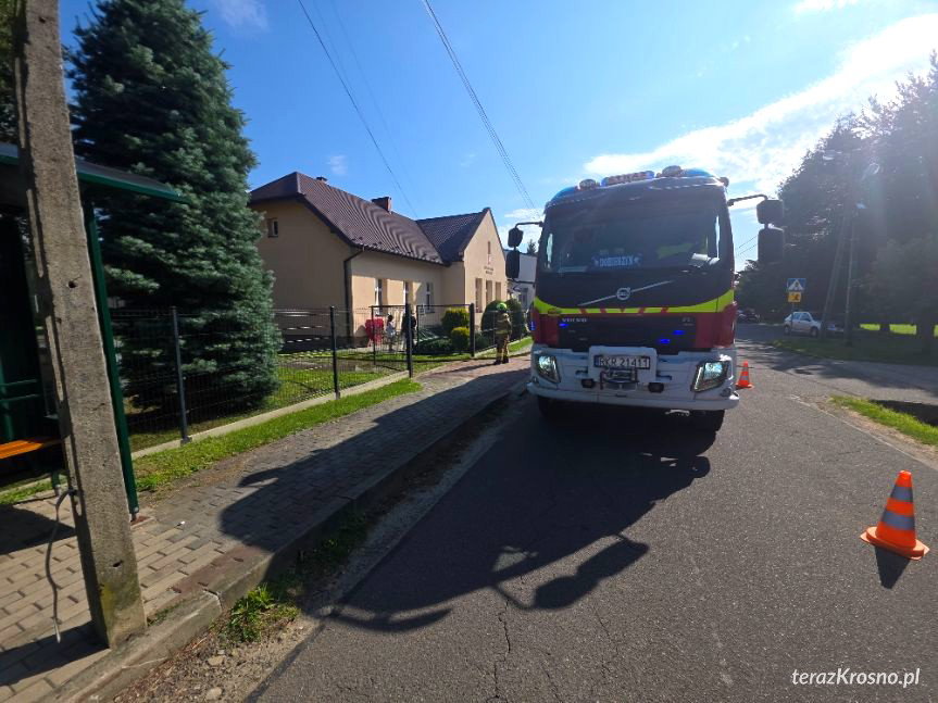 Dobieszyn. Pożar tui w pobliżu szkoły