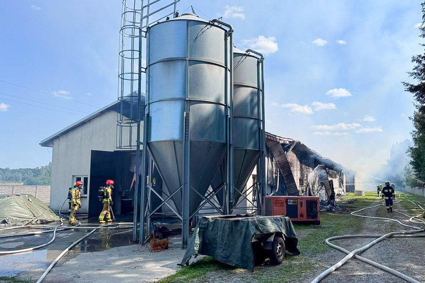 Ogromny pożar kurnika. Zginęło 13 tysięcy kur