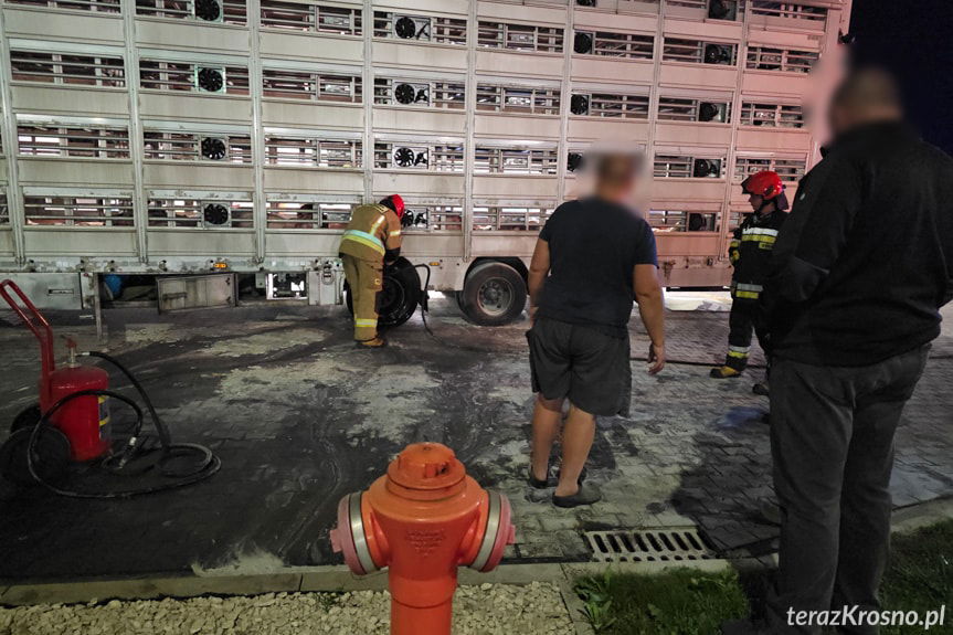 Prosiaki w oparach dymu. Awaryjny postój ciężarówki w Krośnie