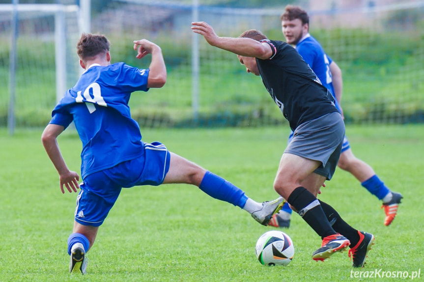 Trzy ciosy Majki znokautowały beniaminka