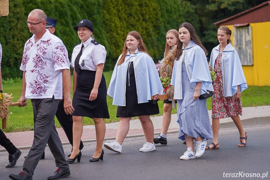 Dożynki Gminne w Jedliczu 2024 - barwny orszak dożynkowy [ZDJĘCIA]