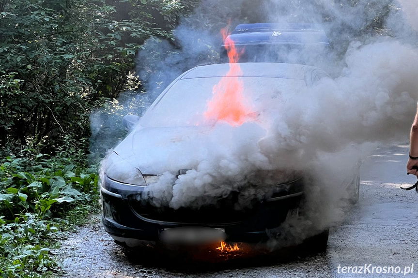 Peugeot spłonął niemal doszczętnie