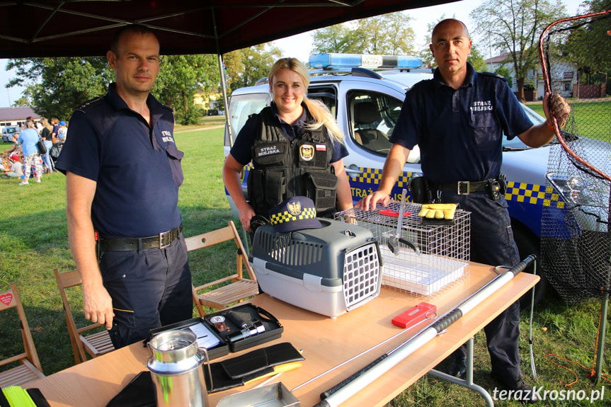 Piknik Bezpieczne Krosno przy hali MOSiR [ZDJĘCIA]