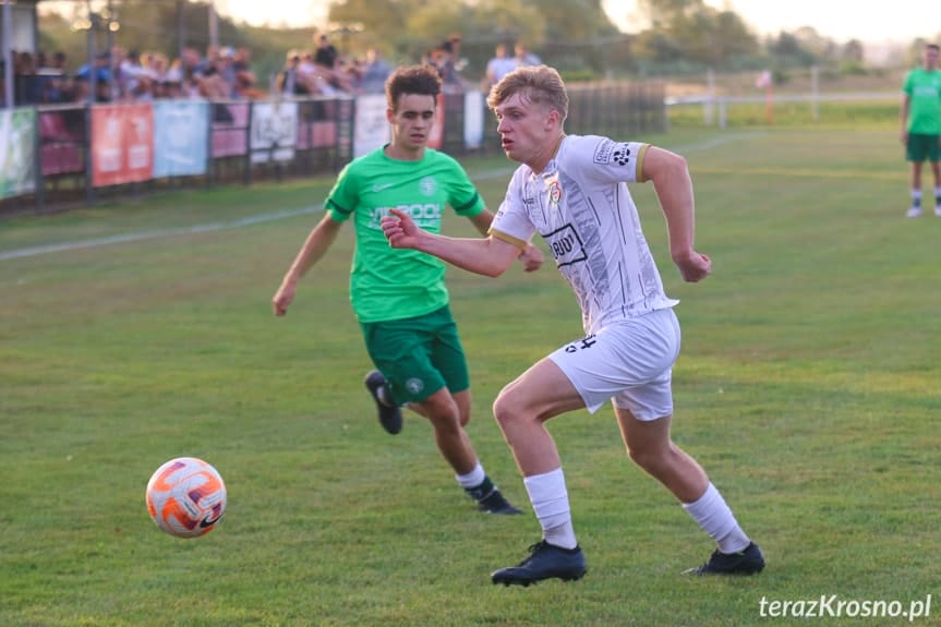 Partyzant MAL-BUD 1 Targowiska - Zamczysko Odrzykoń