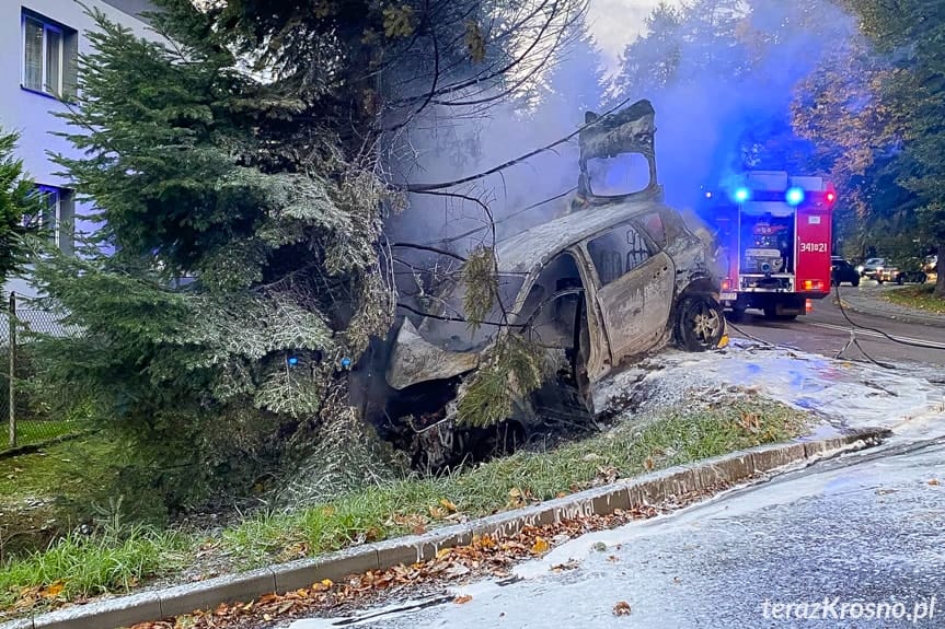 Uderzył w drzewo. Samochód stanął w płomieniach