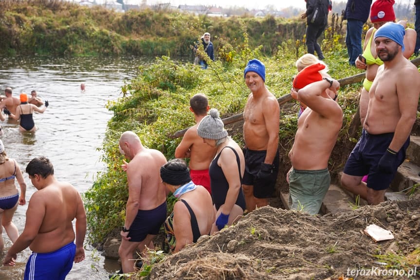 Krosno. Morsy rozpoczęły sezon