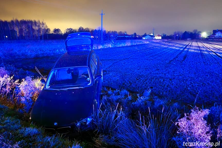Kolizja w Świerzowej Polskiej