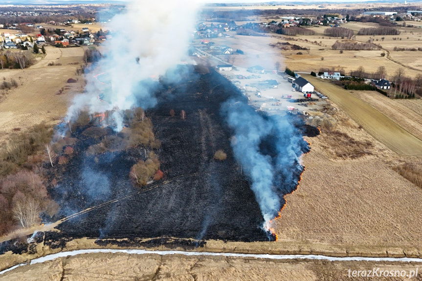 Rozległy pożar w gminie Chorkówka