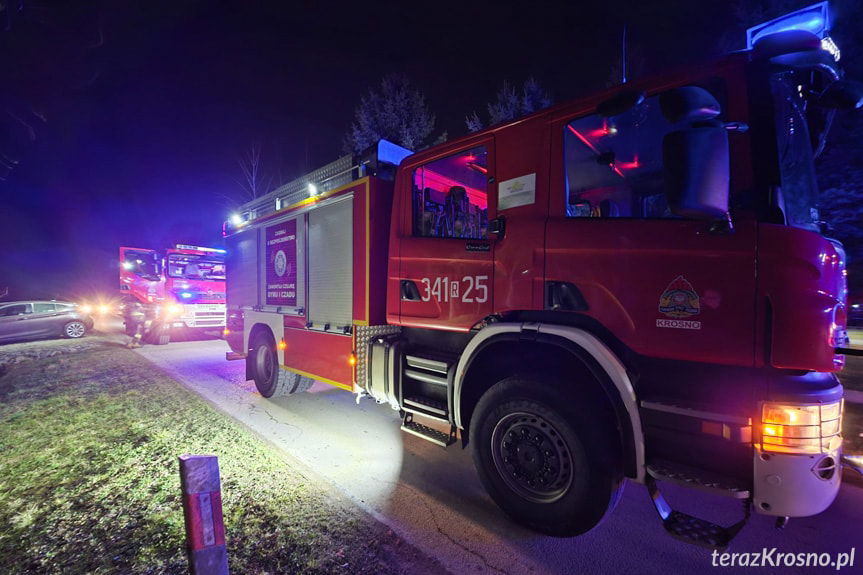 Zadymienie w jednym z domów w Świerzowej Polskiej