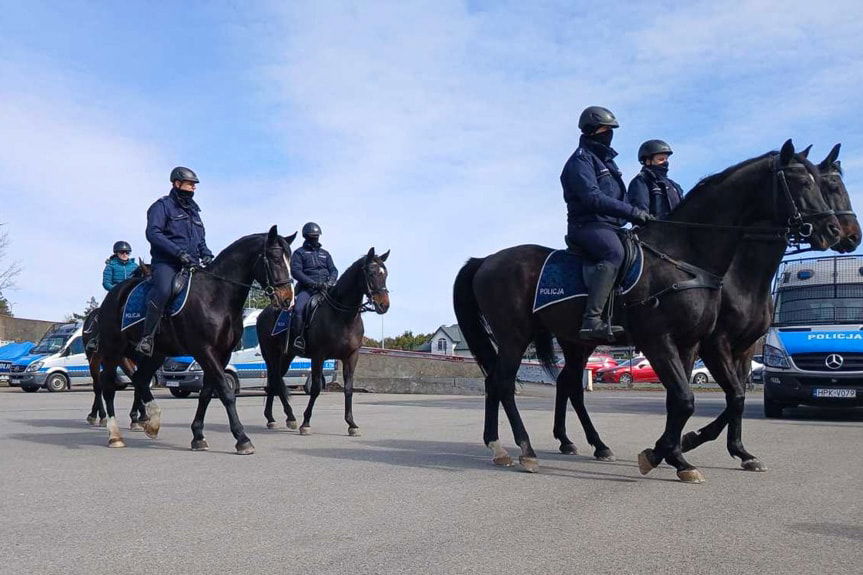 Szkolenie policyjnych wierzchowców