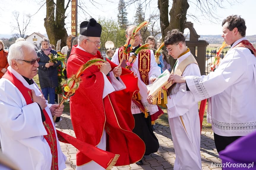 Parafia w Zręcinie - Procesja z palmami