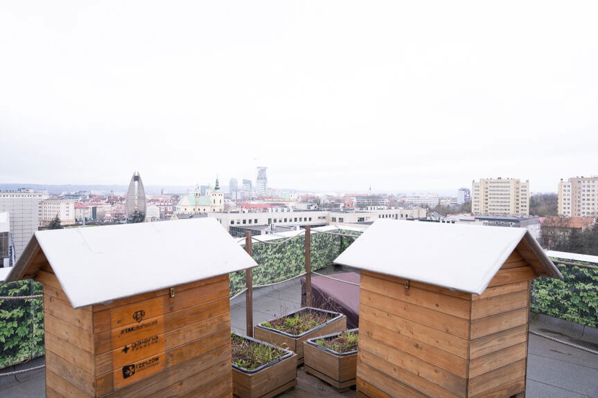 Bank Pszczeli w Rzeszowie przekaże poszkodowanym pomoc o wartości 140 tys. zł