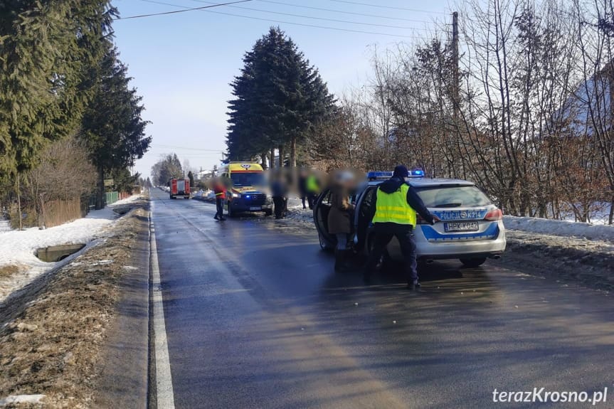 Potrącenie dwoje pieszych w Świerzowej Polskiej