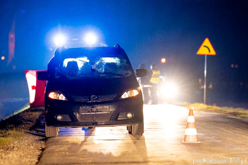 Śmiertelny wypadek w Trześniowie