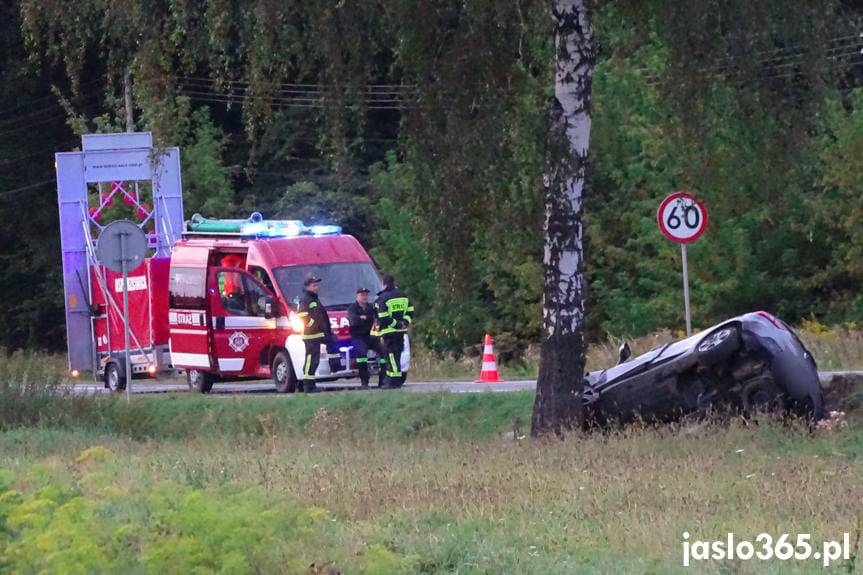 Krajowice. Renault uderzył w drzewo. Dwie osoby ranne