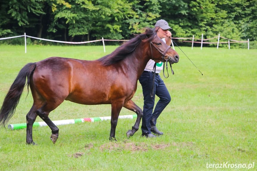 XX Pożegnanie Wakacji w Rudawce Rymanowskiej - 28 sierpnia