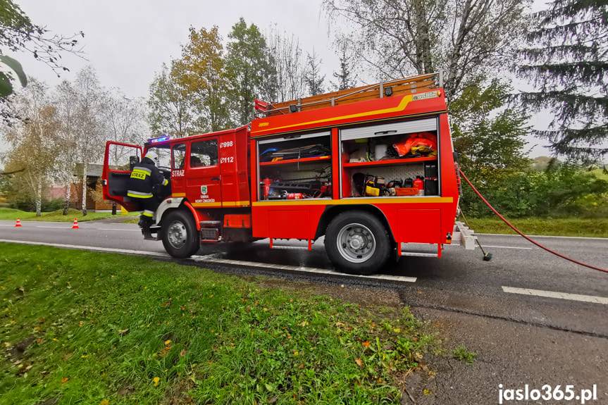 Zderzenie samochodu z krową w Gorzycach