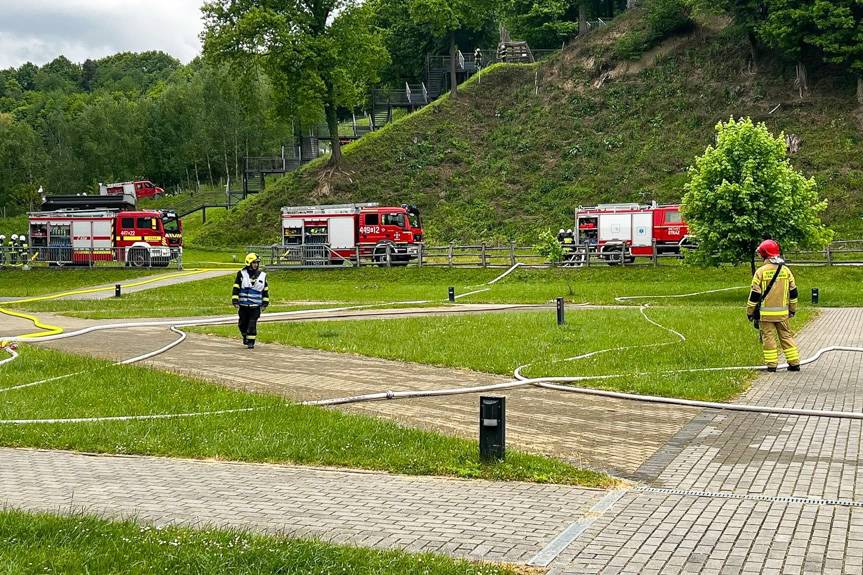 Międzynarodowe ćwiczenia strażaków w Trzcinicy