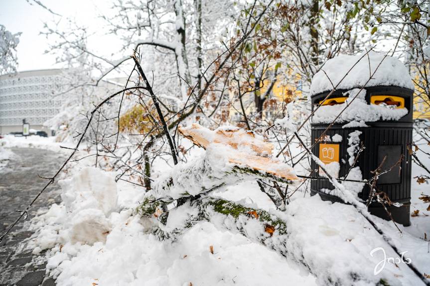 Park w Jaśle czasowo zamknięty