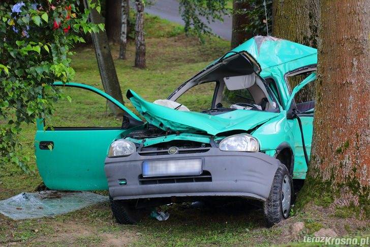 Tragedia pod Jedliczem, nie żyje 19-latka