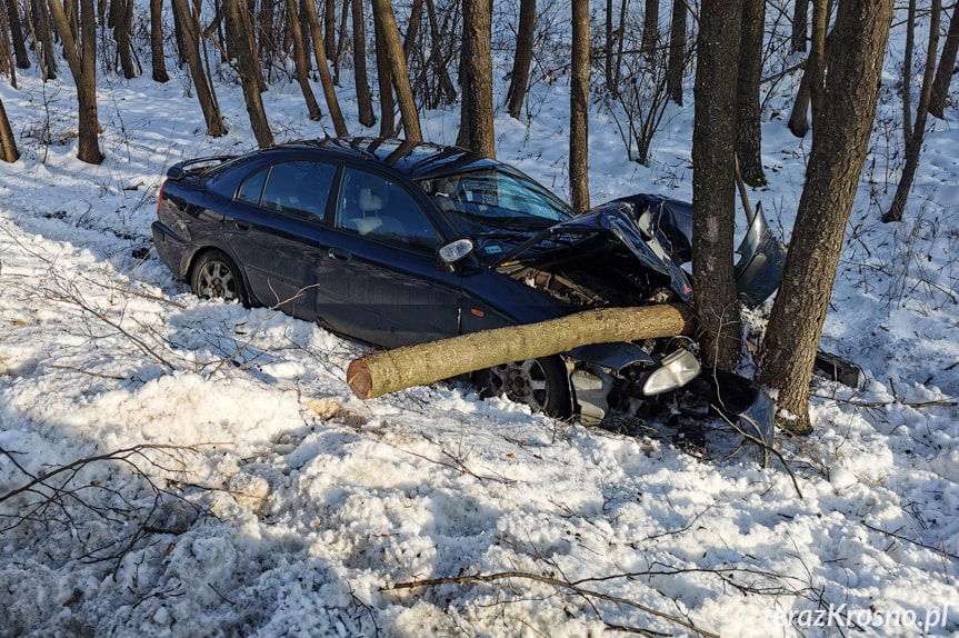 Przybówka. Zjechał z drogi, uderzył w drzewo