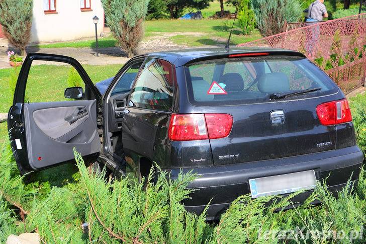 Wypadek w Kopytowej: Owad wleciał do samochodu